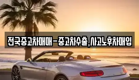 충남 공주시 중학동 중고차 전문 전국중고차매매-중고차수출,사고노후차매입