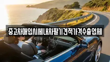 충남 공주시 중학동 중고차매입 전문 중고차매입시세내차팔기견적가격수출업체