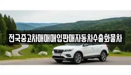 충남 아산시 신동 단기렌트카,중고차매입,중고차매매,중고차,렌트카,장기렌트카