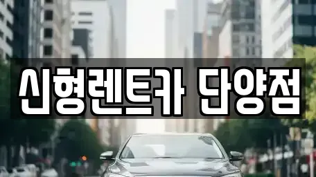 충북 단양군 가곡면 렌트카 전문 신형렌트카 단양점