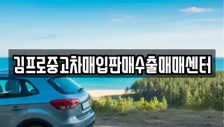 충북 단양군 가곡면 단기렌트카,중고차매입,중고차매매,중고차,렌트카,장기렌트카