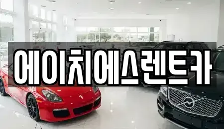 충청남도 당진시 송악읍 렌트카 전문 에이치에스렌트카