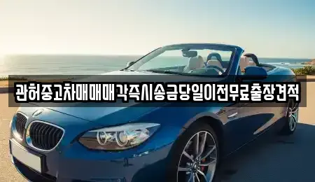 충청북도 청주시 상당구 낭성면 중고차 전문 관허중고차매매매각즉시송금당일이전무료출장견적