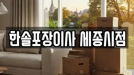 한솔포장이사 세종시점